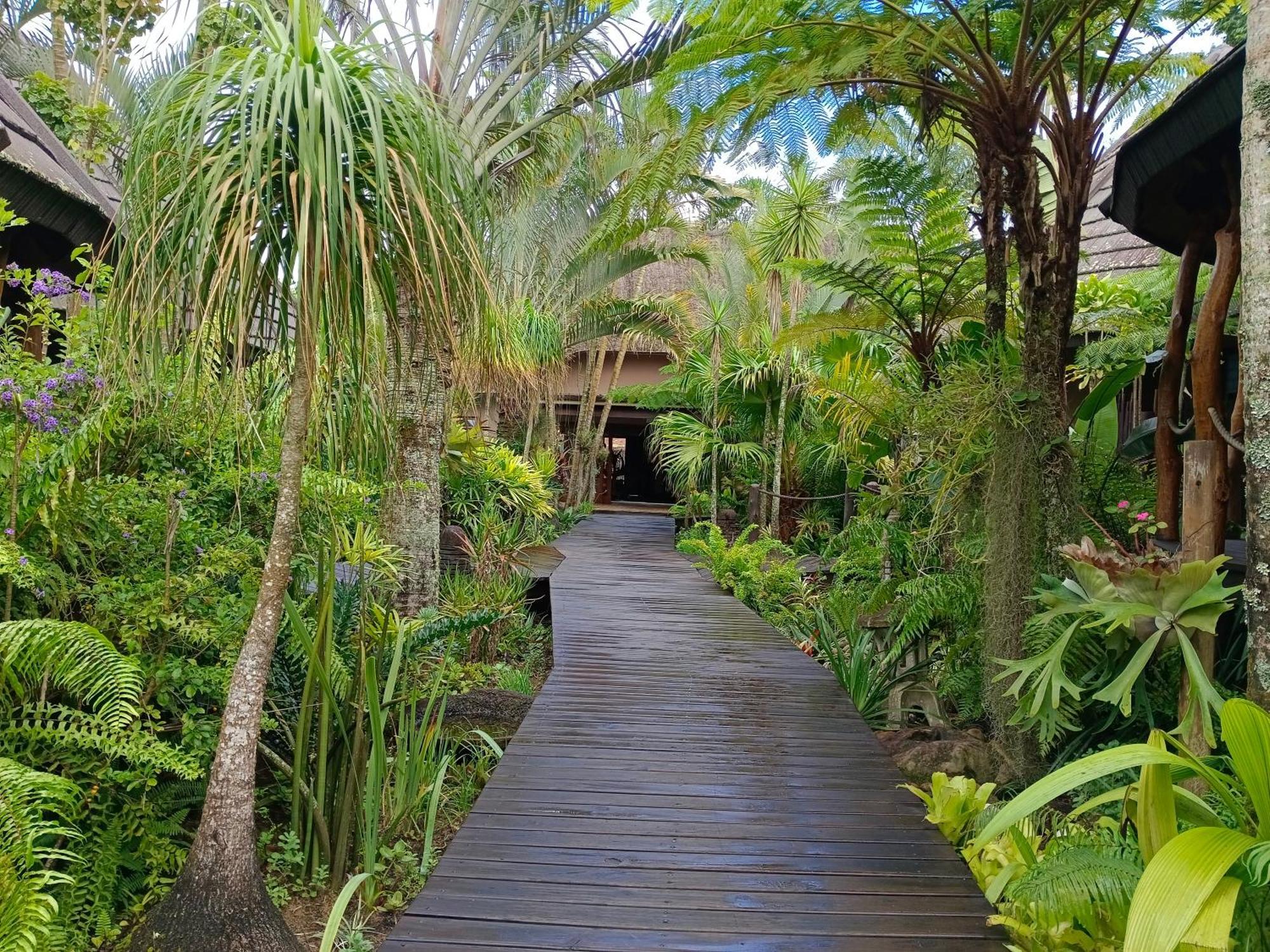Saint Lucia Estuary Lodge Afrique מראה חיצוני תמונה