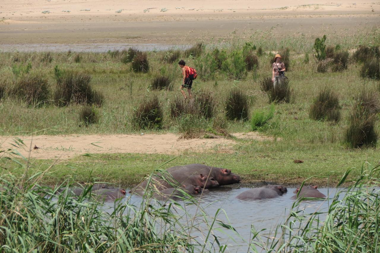 Saint Lucia Estuary Lodge Afrique מראה חיצוני תמונה