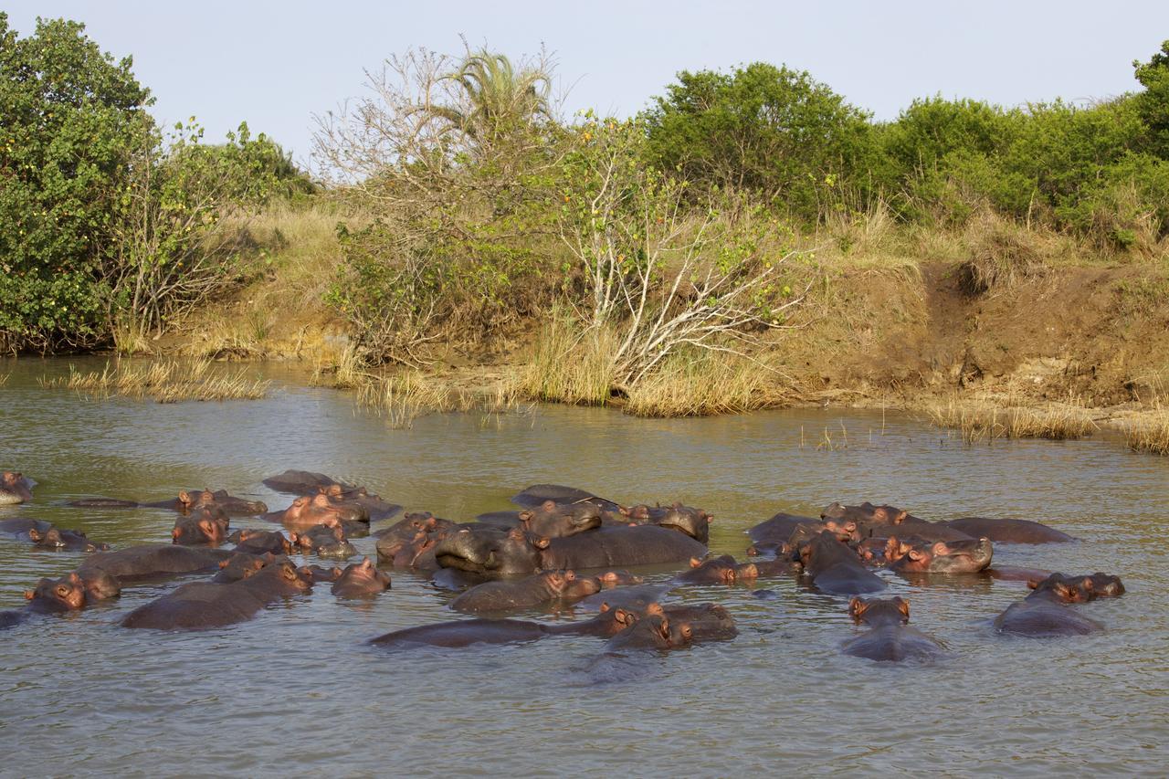 Saint Lucia Estuary Lodge Afrique מראה חיצוני תמונה